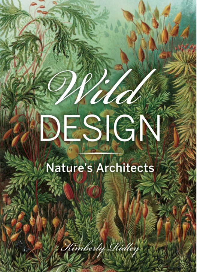 Wild Design: Nature's Architecture
