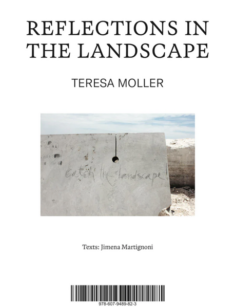 Teresa Moller: Reflections in the Landscape | Mr Kitly