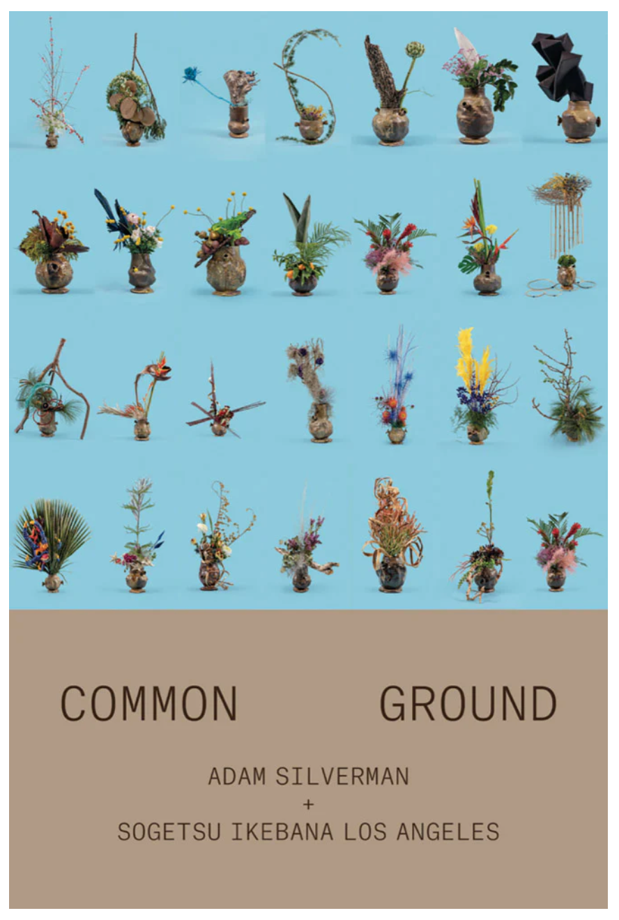 Adam Silverman: Common Ground | Mr Kitly