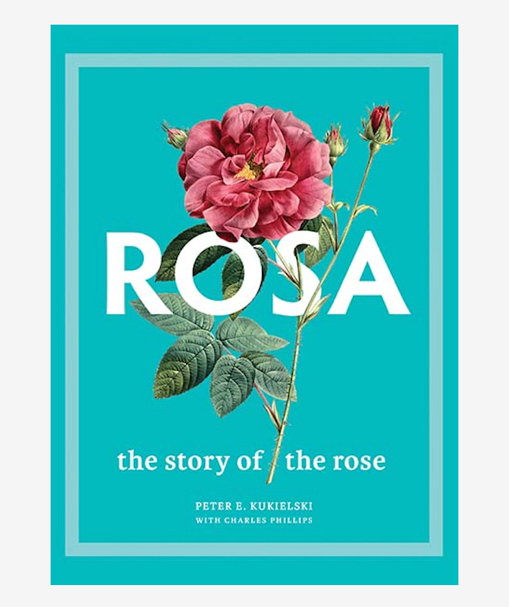 Rosa: The Story of the Rose