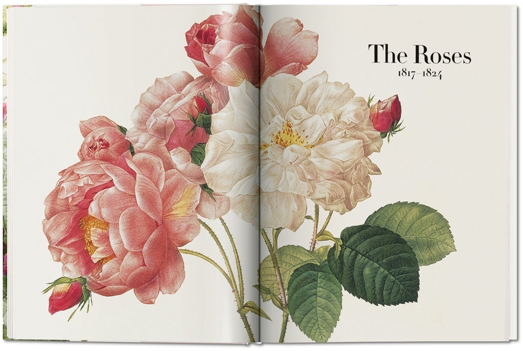 Redouté. The Book of Flowers
