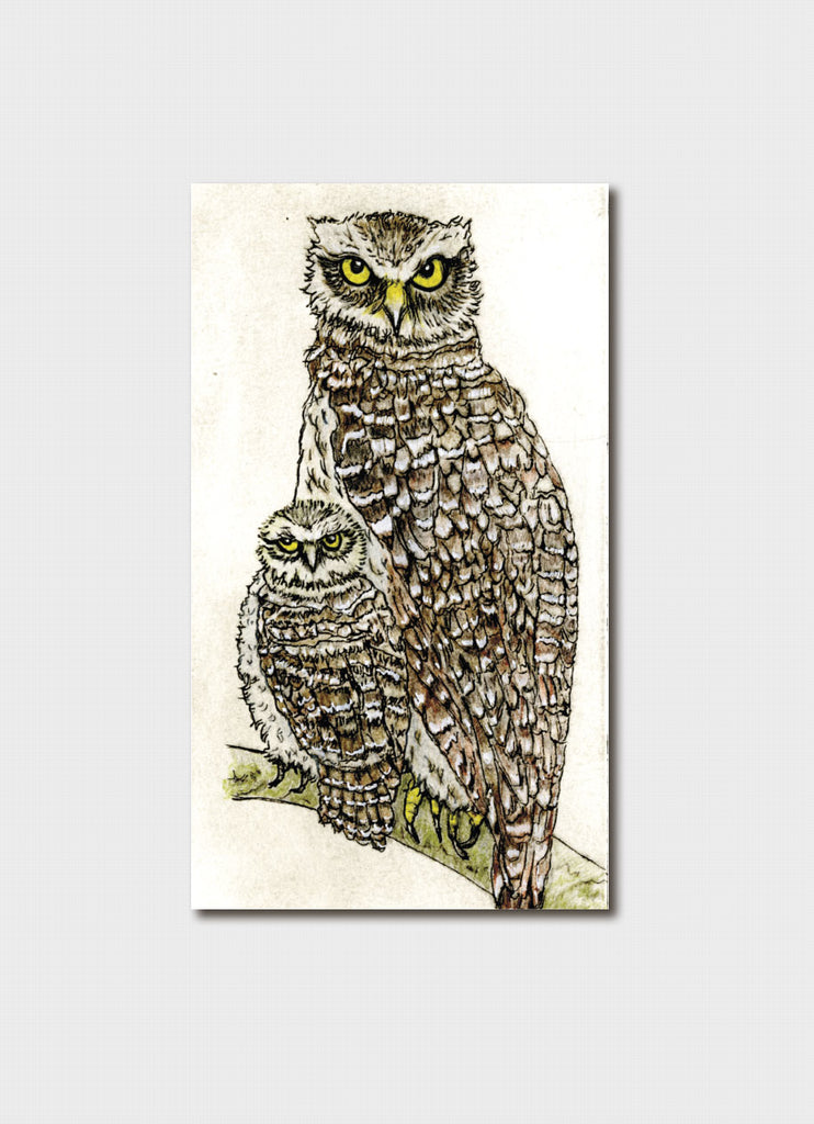Gift Card Endangered Species - Powerful Owl