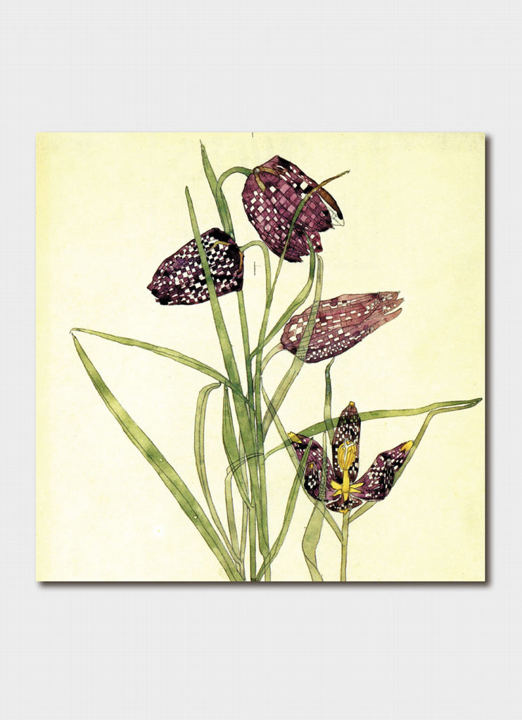 Gift Card Charles Rennie Mackintosh