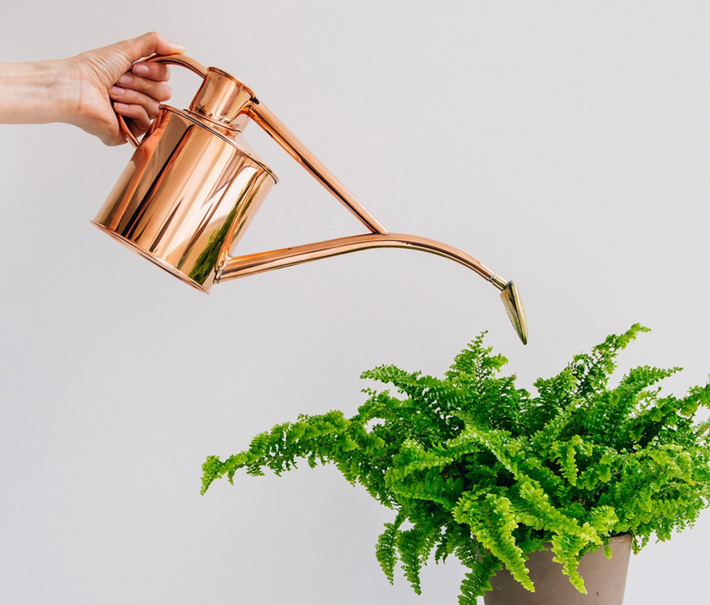 HAWS Rowley Ripple 1L Copper Watering Can
