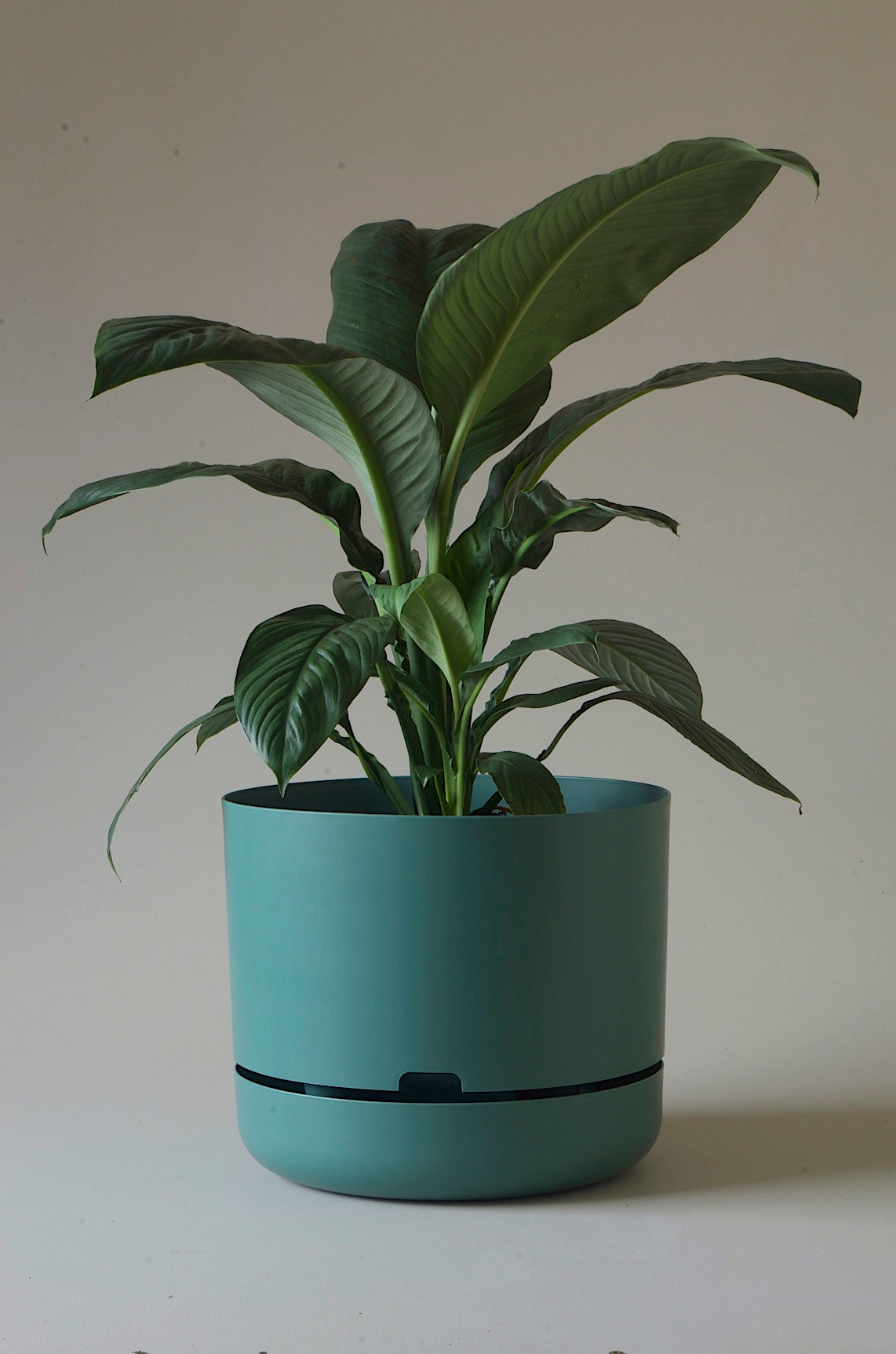 mr kitly self-watering plant pot Mr Kitly x Decor Selfwatering Plant Pot 375mm