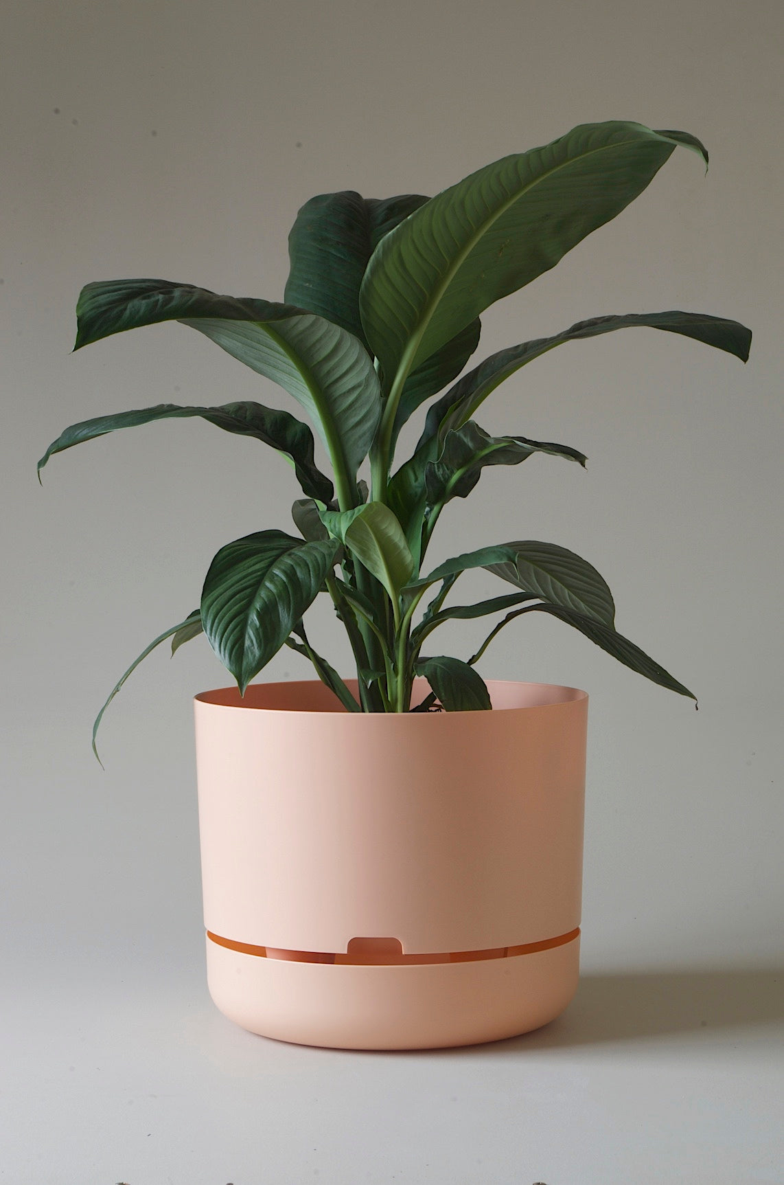mr kitly self-watering plant pot Mr Kitly x Decor Selfwatering Plant Pot 375mm