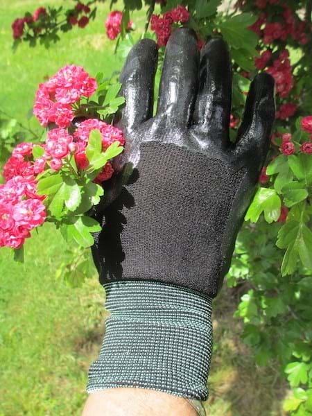 Weeding Gloves